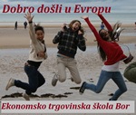 Evropski dnevnik